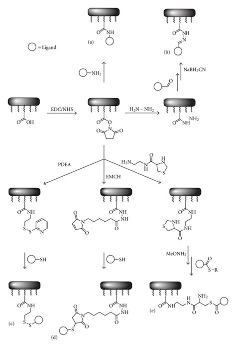 ahmt|Enhanced performance of amine and thiol chemically modified。